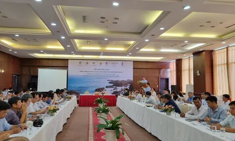 Biện pháp “giải quyết tận gốc” để Việt Nam sớm được gỡ thẻ vàng IUU