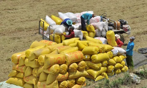 Thúc đẩy xuất khẩu thực phẩm Việt sang Châu Phi