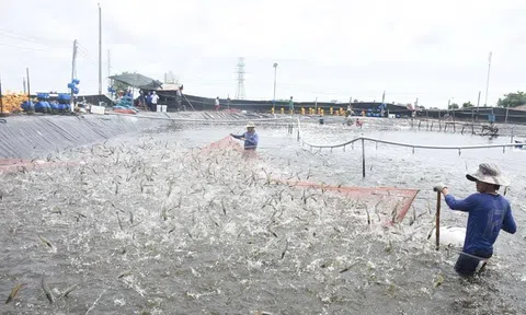 Phát triển kinh tế thủy sản theo hướng ổn định, bền vững