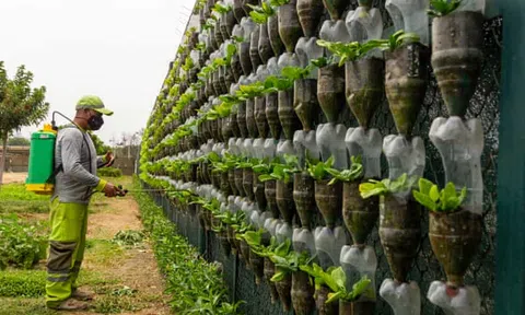 Từ gạch, túi đến nghệ thuật sinh thái kỳ 2: 6 cách sáng tạo ứng dụng chất thải nhựa trên thế giới