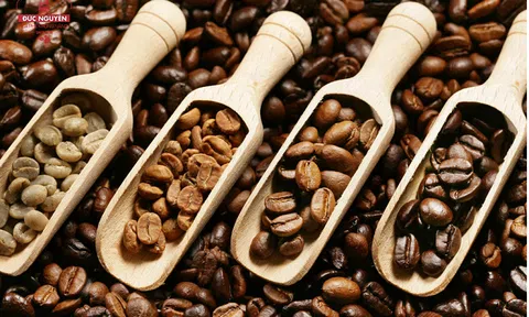 Tiêu dùng xanh ngày 15/6: Giá cà phê trong nước giảm nhẹ, Arabica tăng hơn 1,5% trên sàn thế giới