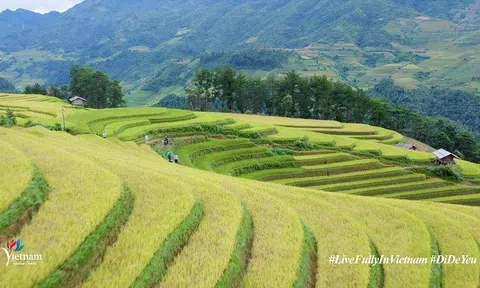 Du lịch Việt Nam được đề cử 10 hạng mục tại World Travel Awards 2022