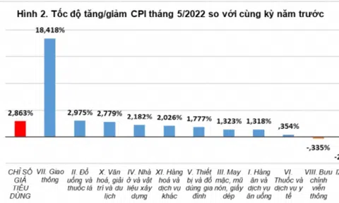 Giá cả thị trường 5 tháng đầu năm và dự báo về cả năm 2022