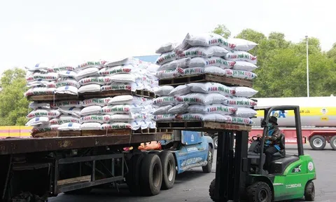 PVFCCo lọt “Top 50 Công ty niêm yết tốt nhất” và “Top 50 Công ty Đại chúng Uy tín và Hiệu quả” năm 2022