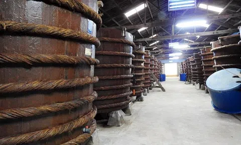 Kiên Giang chuẩn bị đón Bằng Di sản văn hóa phi vật thể Quốc gia vinh danh Nghề làm nước mắm Phú Quốc