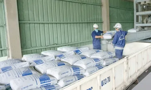 Xi măng tiếp tục tăng giá trong tháng 6/2022