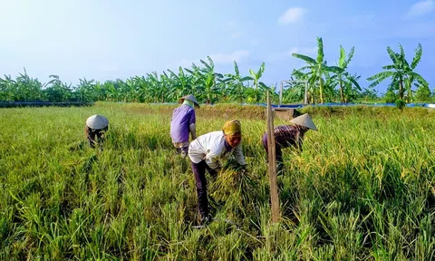 HTX An Thanh: Đi đầu trong phát triển nông nghiệp hữu cơ và du lịch sinh thái
