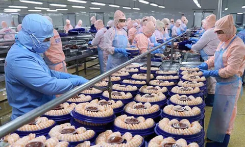 Thúc đẩy xuất khẩu thực phẩm chế biến sang thị trường Nhật Bản