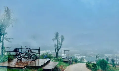 Mộng mơ với đồi Mây Đà Lạt