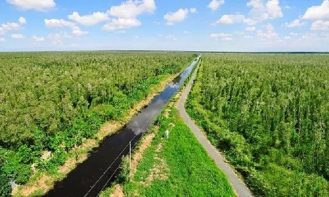 Rong ruổi phương Nam: Thiên nhiên nơi cuối trời Tổ quốc