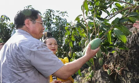 Sớm đưa Sơn La trở thành trung tâm chế biến nông sản vùng Tây Bắc