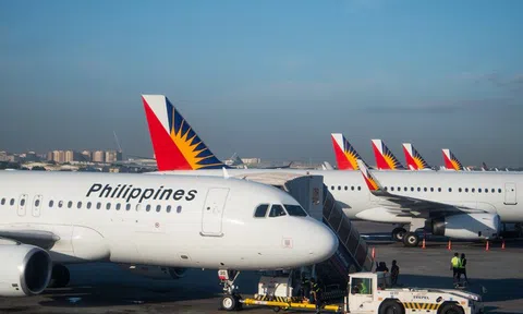 Ngành vận tải hàng không thế giới đang hồi phục trở lại