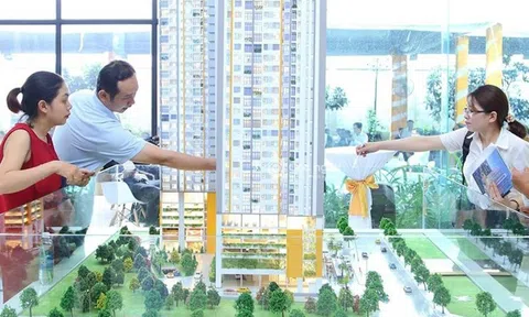 Môi giới Bất động sản và giải pháp về nề nếp hoạt động