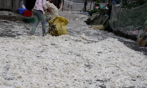 Giảng viên Đà Nẵng biến lông gia cầm thành phân bón không mùi