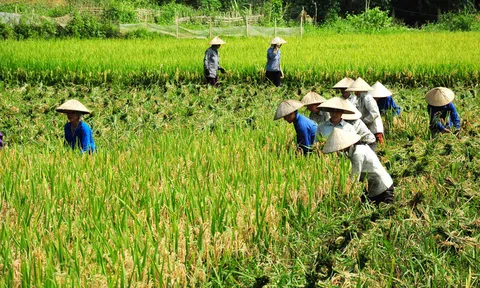 Sức sống mới ở xã Nông thôn mới Liên Hiệp