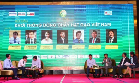 Gỡ điểm nghẽn "khơi thông dòng chảy hạt gạo Việt Nam"