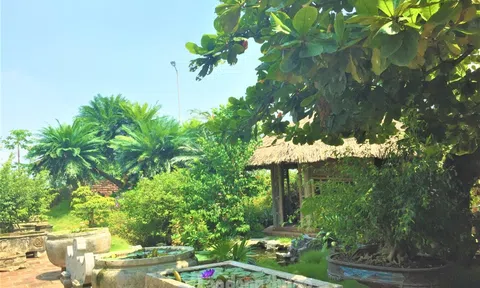 Phát triển kinh tế từ chuỗi liên kết, nông nghiệp du lịch sinh thái