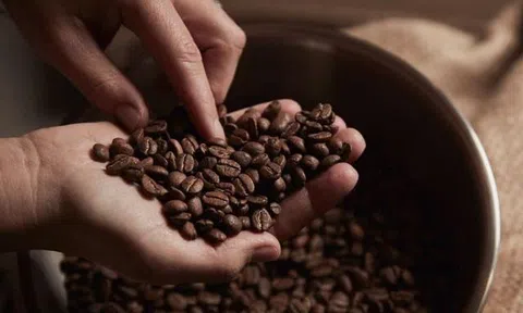 Tiêu dùng xanh ngày 25/6: Cà phê tiếp đà giảm mạnh