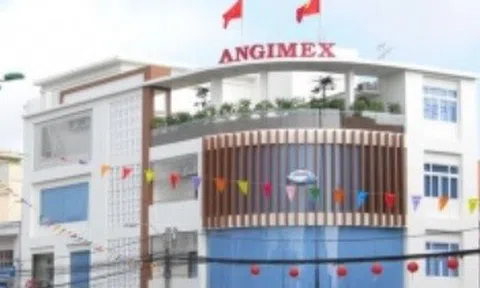 Thu hơn 1.600 tỷ từ xuất khẩu gạo sau 5 tháng, Angimex mở rộng vùng nguyên liệu tại An Giang