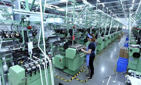 Việt Nam: Điểm đến hứa hẹn của các công ty lớn