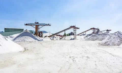 Số doanh nghiệp thành lập mới "lập đỉnh" với hơn 76 nghìn đơn vị