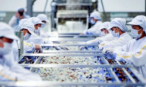 6 tháng xuất khẩu nông lâm thủy sản đạt gần 28 tỷ USD