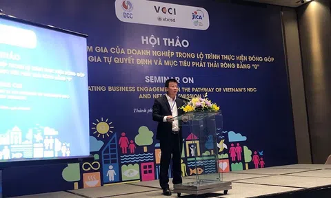 JICA thúc đẩy khu vực tư nhân tham gia chống biến đổi khí hậu tại Việt Nam
