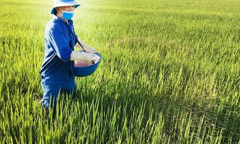 Thị trường phân bón nhiều biến động