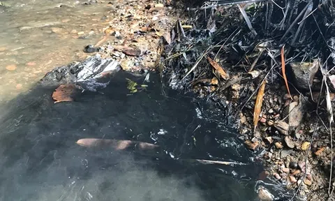 Chủ động ứng phó sự cố môi trường