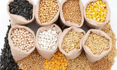 Giá thức ăn chăn nuôi tăng lần thứ 6 trong năm, nông dân thêm điêu đứng