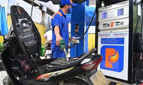 Điều chỉnh thuế bảo vệ môi trường đối với xăng, dầu, mỡ nhờn xuống mức sàn trong khung thuế đến hết 31/12/2022