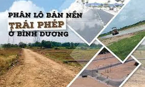 Bình Dương: Lấy ý kiến về việc sửa đổi, bổ sung quy định về điều kiện tách, hợp thửa các loại đất