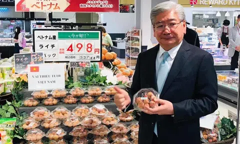 Thúc đẩy tăng trưởng xuất khẩu nông, thủy sản sang Nhật Bản