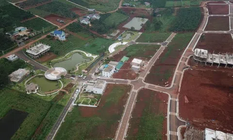 Lâm Đồng: Hoạt động phân lô bán nền phải theo đúng quy định của Luật Đầu tư và Nghị định 02/2022/NĐ-CP