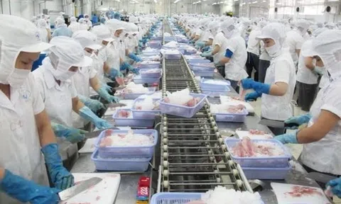 Thúc đẩy xúc tiến thương mại và hợp tác doanh nghiệp Việt Nam - Algeria 2022