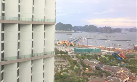 Mức độ tăng giá của nhà đất vượt vàng, chứng khoán và tiền gửi