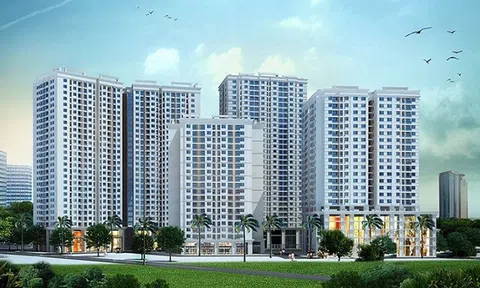 Hệ lụy từ thời hạn sở hữu nhà chung cư