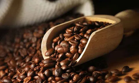 Tiêu dùng xanh ngày 8/7: Cà phê tiếp đà đi xuống, giá Robusta kỳ hạn giảm hơn 0,5%