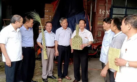 Máy sấy lúa non của 'nhà khoa học chân đất'