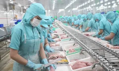 Xuất khẩu thủy sản và gạo của Đồng Tháp tăng trưởng ấn tượng