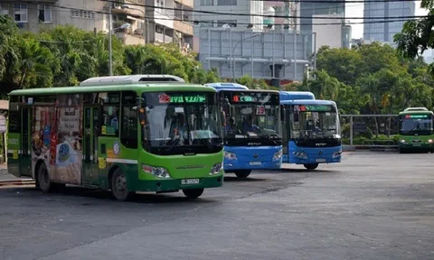 TP.HCM sắp có thêm 12 tuyến xe buýt mới