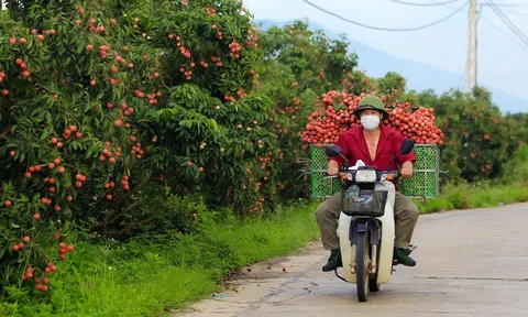 Bắc Giang: Khai thác tối đa tiềm năng khác biệt, tạo bứt phá trong phát triển kinh tế - xã hội