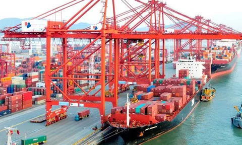 Miền Nam Việt Nam và vai trò trong chuỗi cung ứng toàn cầu