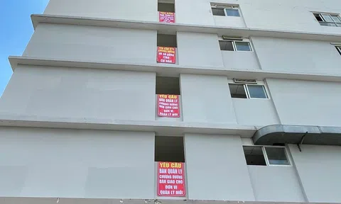 Bee Home "tố" CDC không chịu bàn giao quyền quản lý chung cư Chương Dương Home