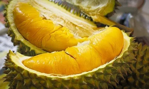 Sầu riêng được xuất khẩu chính ngạch sang Trung Quốc từ ngày 11/7