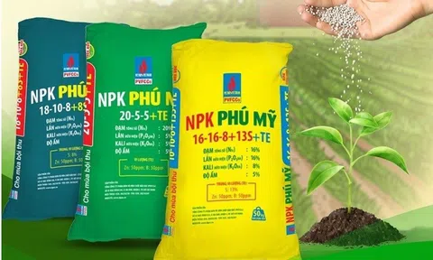 Tổng Công ty Phân bón và Hóa chất dầu khí chốt quyền chia cổ tức tiền mặt tỷ lệ 40%