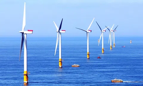 Phát triển bền vững từ kinh tế xanh