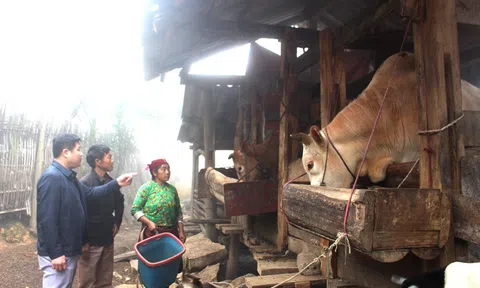 Lũng Cú duy trì và nâng cao các tiêu chí Nông thôn mới