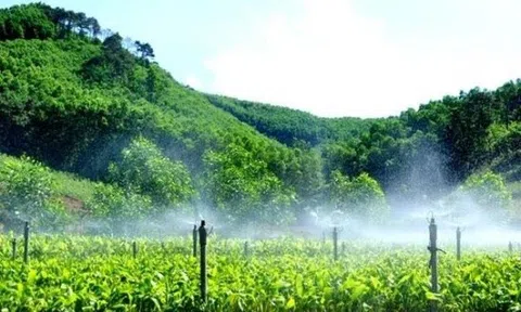 Phát triển lâm nghiệp trở thành ngành kinh tế - kỹ thuật hiện đại