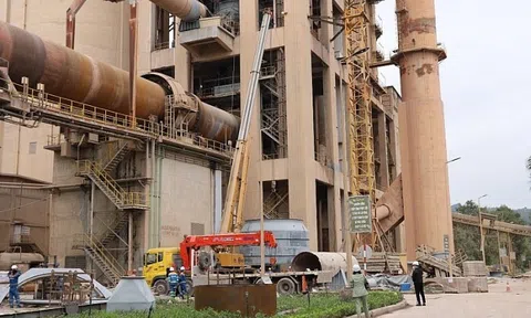 6 tháng đầu năm, Tổng Công ty Xi măng Việt Nam đạt doanh thu 19.219 tỷ đồng
